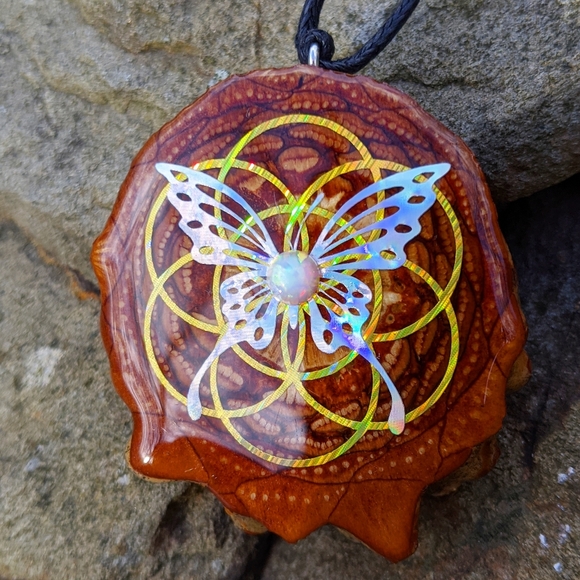 Pineal pinecone - Picture 6 of 13